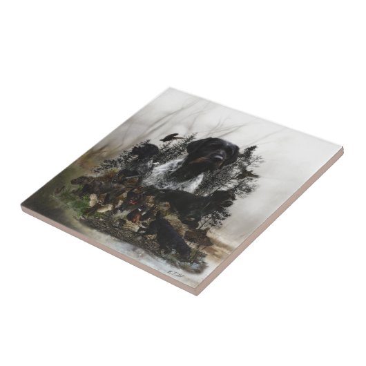 Deutsches Drahthaar Pointer Fliese (Seite)