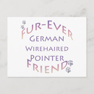Deutsches Drahthaar Pointer Furever Postkarte