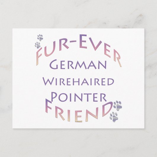 Deutsches Drahthaar Pointer Furever Postkarte (Vorderseite)