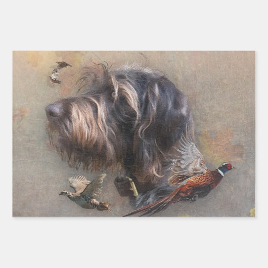 Deutsches Drahthaar Pointer Geschenkpapier Set (Vorderseite)