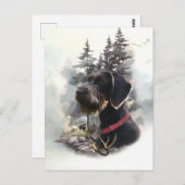 Deutsches Drahthaar Pointer, GWP Postkarte (Vorne/Hinten)