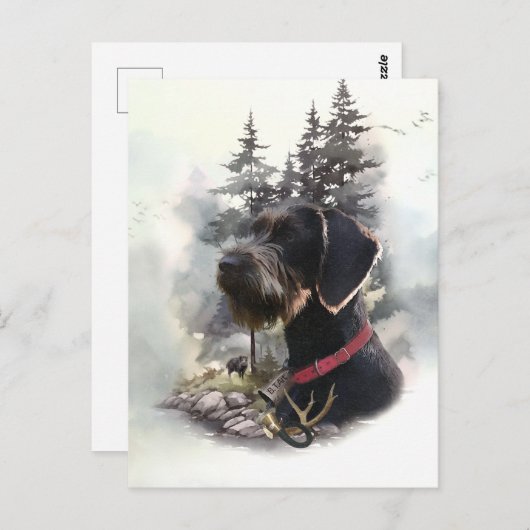 Deutsches Drahthaar Pointer, GWP Postkarte (Vorne/Hinten)