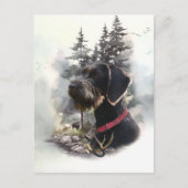 Deutsches Drahthaar Pointer, GWP Postkarte (Vorderseite)
