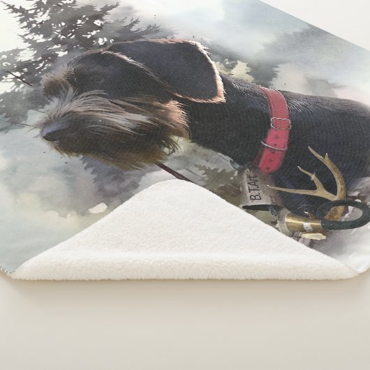 Deutsches Drahthaar Pointer, GWP Sherpadecke (3/4)