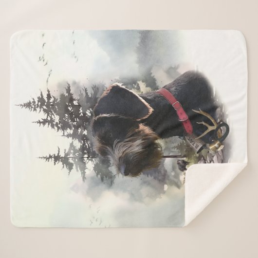 Deutsches Drahthaar Pointer, GWP Sherpadecke (Vorderseite (Horizontal))