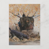 Deutsches Drahthaar Pointer, Herbstjagd Postkarte (Vorderseite)
