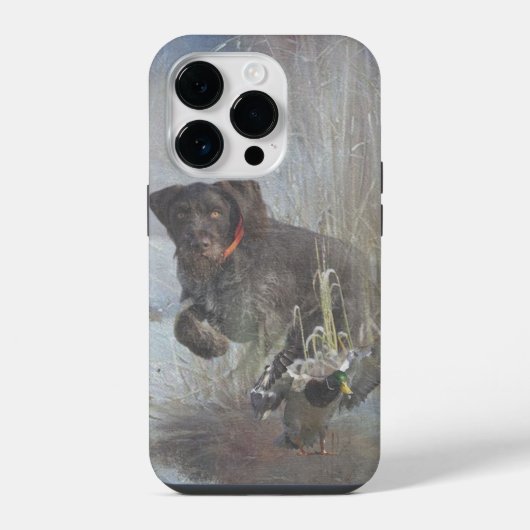 Deutsches Drahthaar Pointer iPhone Hülle (Rückseite)