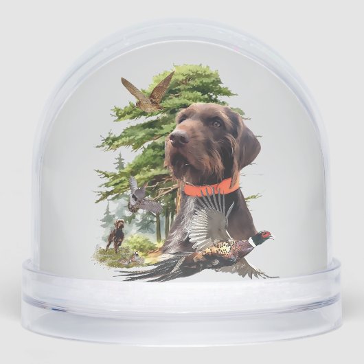 Deutsches Drahthaar Pointer, Jagd Schneekugeln (Vorderseite)