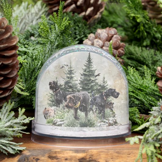 Deutsches Drahthaar Pointer, Jagd Schneekugeln (Winter)