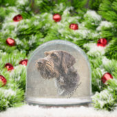 Deutsches Drahthaar Pointer, Jagd Schneekugeln (Weihnachten)