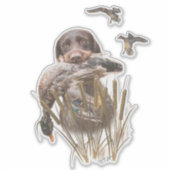 Deutsches Drahthaar Pointer jagt eine Ente Aufkleber (Vorderseite)
