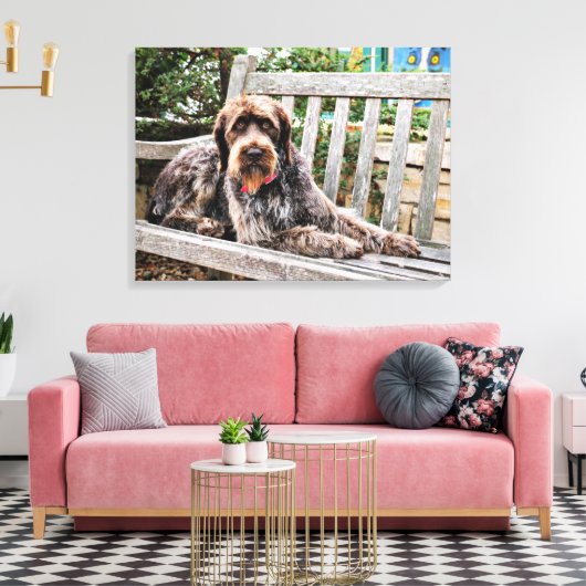 Deutsches Drahthaar Pointer - Lexy Leinwanddruck (Insitu (Wohnzimmer))