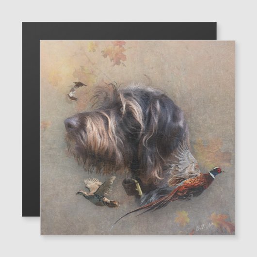 Deutsches Drahthaar Pointer Magneteinladung (Vorne/Hinten)