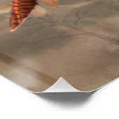 Deutsches Drahthaar Pointer mit Fasan der Jagd Poster (Ecke)