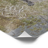 Deutsches Drahthaar Pointer mit Holzschwanz im Win Poster (Ecke)