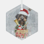 Deutsches Drahthaar Pointer Ornament Aus Glas (Vorderseite)