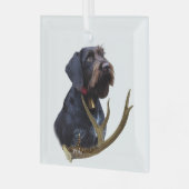 Deutsches Drahthaar Pointer Ornament Aus Glas (Vorderseite links)