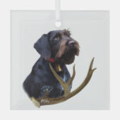 Deutsches Drahthaar Pointer Ornament Aus Glas (Vorderseite)