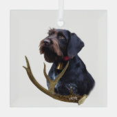 Deutsches Drahthaar Pointer Ornament Aus Glas (Rückseite)