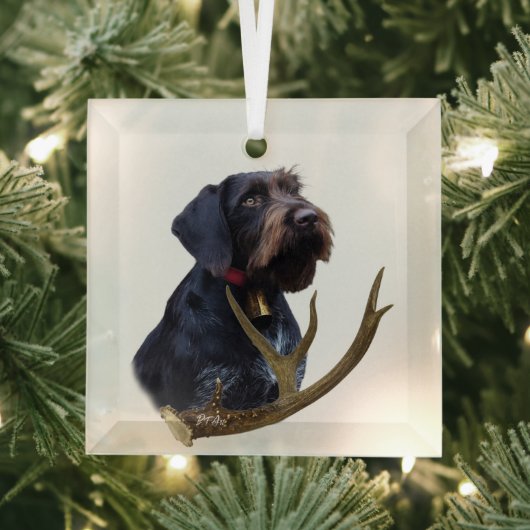 Deutsches Drahthaar Pointer Ornament Aus Glas (Insitu)