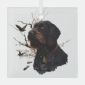 Deutsches Drahthaar Pointer Ornament Aus Glas (Vorderseite)