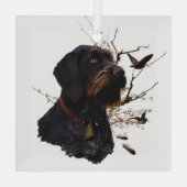 Deutsches Drahthaar Pointer Ornament Aus Glas (Rückseite)