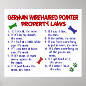 DEUTSCHES DRAHTHAAR POINTER PL2 POSTER (Vorne)