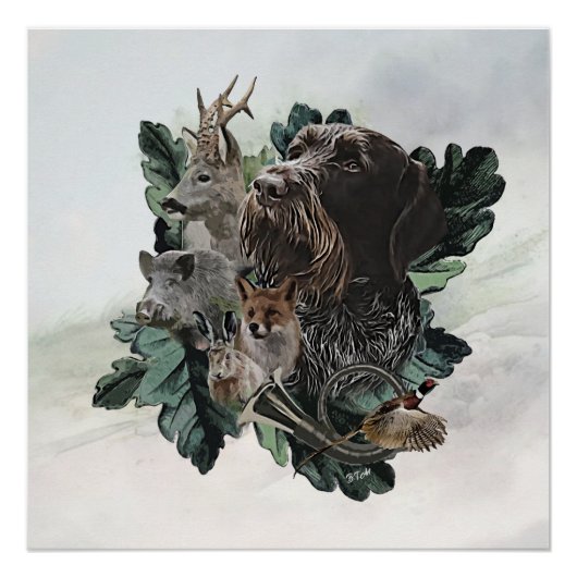 Deutsches Drahthaar Pointer Poster (Vorderseite)