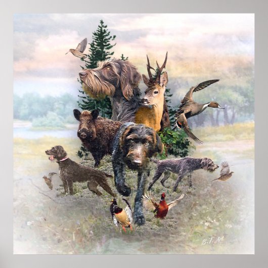 Deutsches Drahthaar Pointer Poster (Vorne)