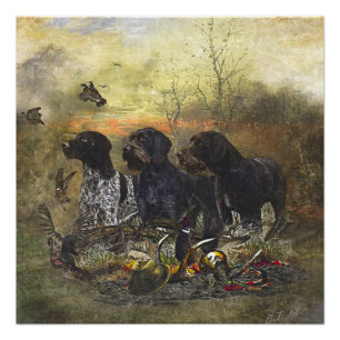 Deutsches Drahthaar Pointer Poster