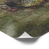 Deutsches Drahthaar Pointer Poster (Ecke)