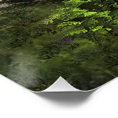 Deutsches Drahthaar Pointer Poster (Ecke)