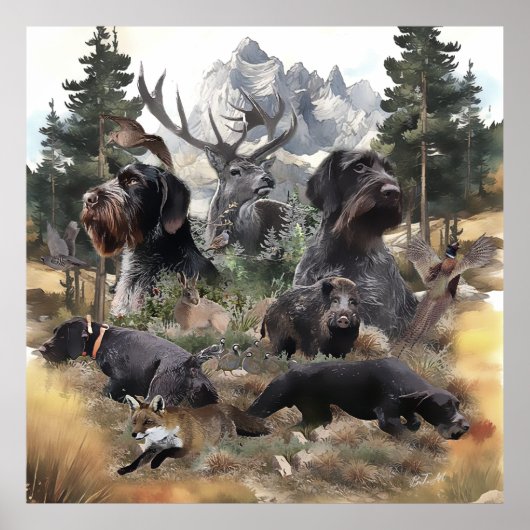 Deutsches Drahthaar Pointer Poster (Vorne)