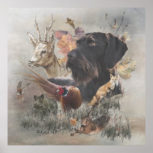 Deutsches Drahthaar Pointer Poster (Vorne)