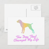 Deutsches Drahthaar Pointer Postkarte (Vorne/Hinten)