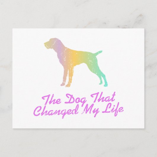 Deutsches Drahthaar Pointer Postkarte (Vorderseite)