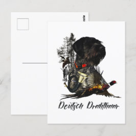 Deutsches Drahthaar Pointer Postkarte