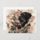 Deutsches Drahthaar Pointer Postkarte (Vorne/Hinten)