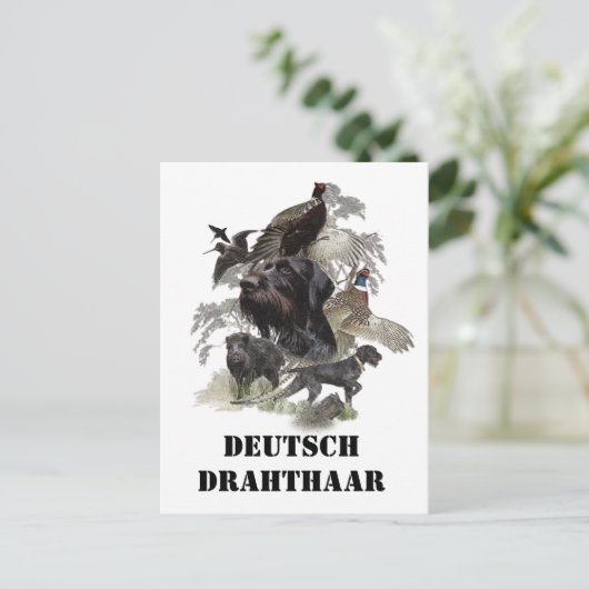 Deutsches Drahthaar Pointer Postkarte (Stehend Vorderseite)