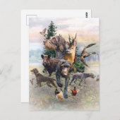 Deutsches Drahthaar Pointer Postkarte (Vorne/Hinten)