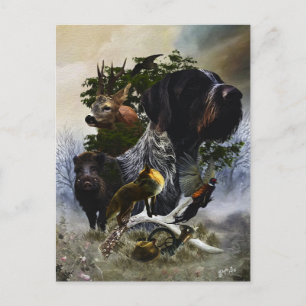 Deutsches Drahthaar Pointer Postkarte