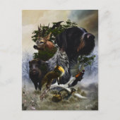 Deutsches Drahthaar Pointer Postkarte (Vorderseite)