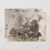 Deutsches Drahthaar Pointer Postkarte (Vorne/Hinten)