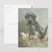 Deutsches Drahthaar Pointer Postkarte (Vorne/Hinten)