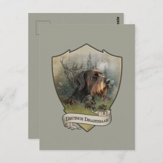 Deutsches Drahthaar Pointer Postkarte (Vorne/Hinten)