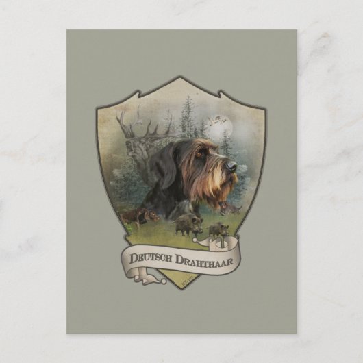 Deutsches Drahthaar Pointer Postkarte (Vorderseite)