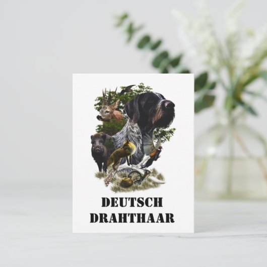Deutsches Drahthaar Pointer Postkarte (Stehend Vorderseite)