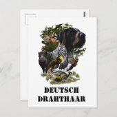 Deutsches Drahthaar Pointer Postkarte (Vorne/Hinten)