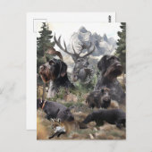 Deutsches Drahthaar Pointer Postkarte (Vorne/Hinten)