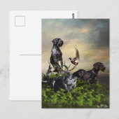 Deutsches Drahthaar Pointer Postkarte (Vorne/Hinten)